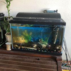 Fish Tank 10 Gallons Come With Everything $ 80.00 LED Light With 20 Color 