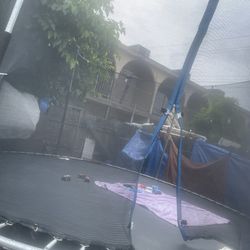 Trampoline 
