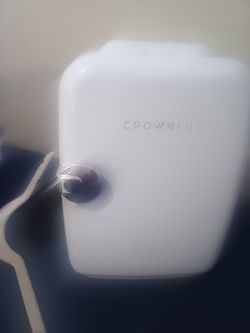 mini fridge it works very fast and it has 2 setting cold and hot u can pick nothing is wrong