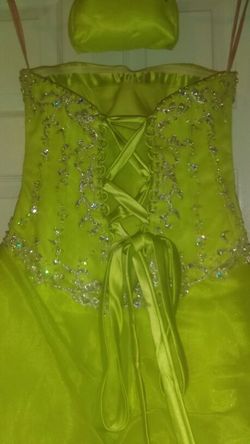 Quinceañera/ sweet Sixteen Dress