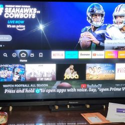 Panasonic 65" Plasma Flat Panel With Speakers