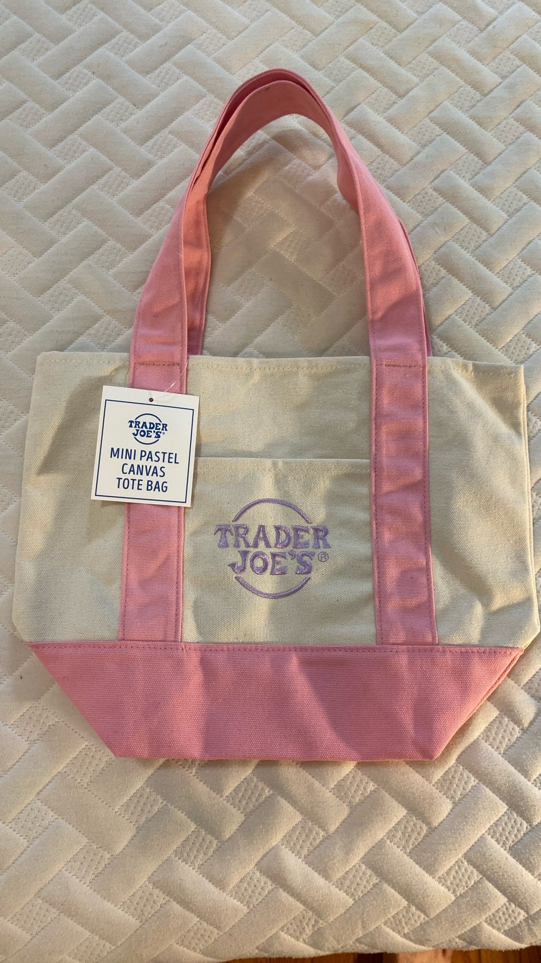 Mini Pastel Canvas Tote Bag