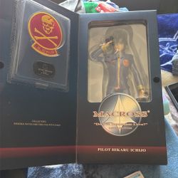 Macross Pilot Hikaru Ichijo 