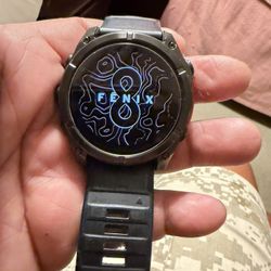 Garmin Phoenix Eight