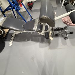 Ajustable Weight Bench With Leg / Arm Curl 