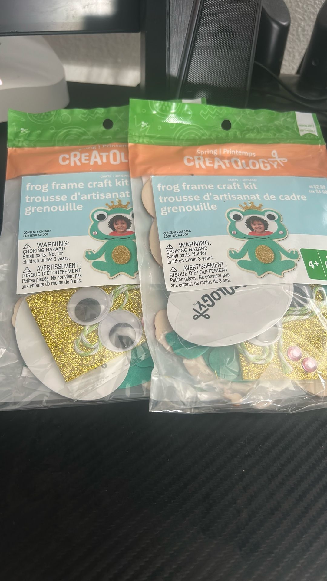 Frog Frame Craft Kit