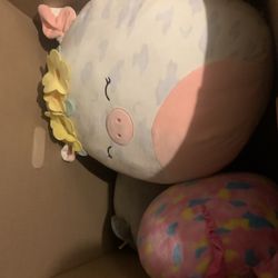 Squishmallows/TY Beanies