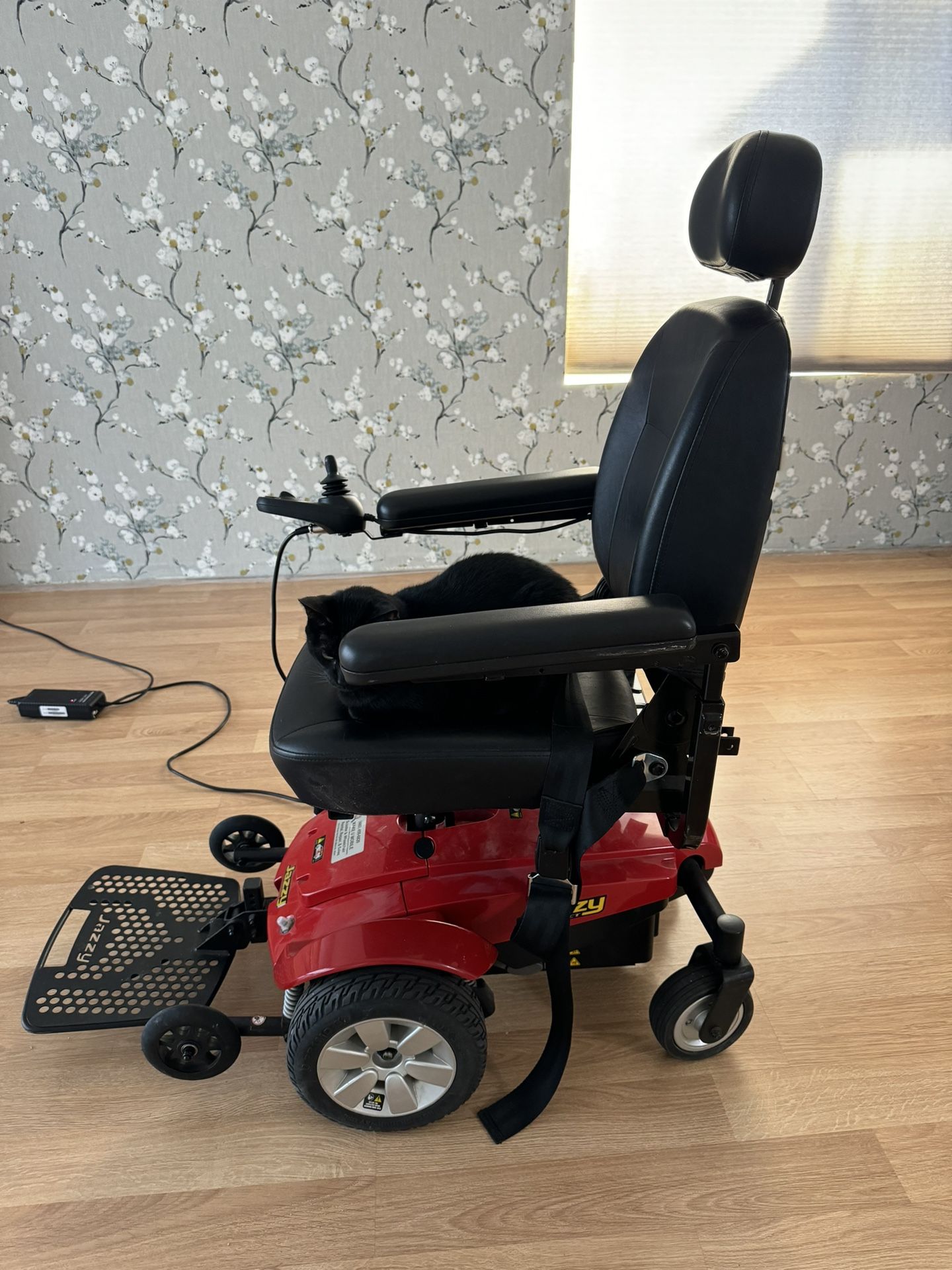 Mobility Scooter (Elder Use)