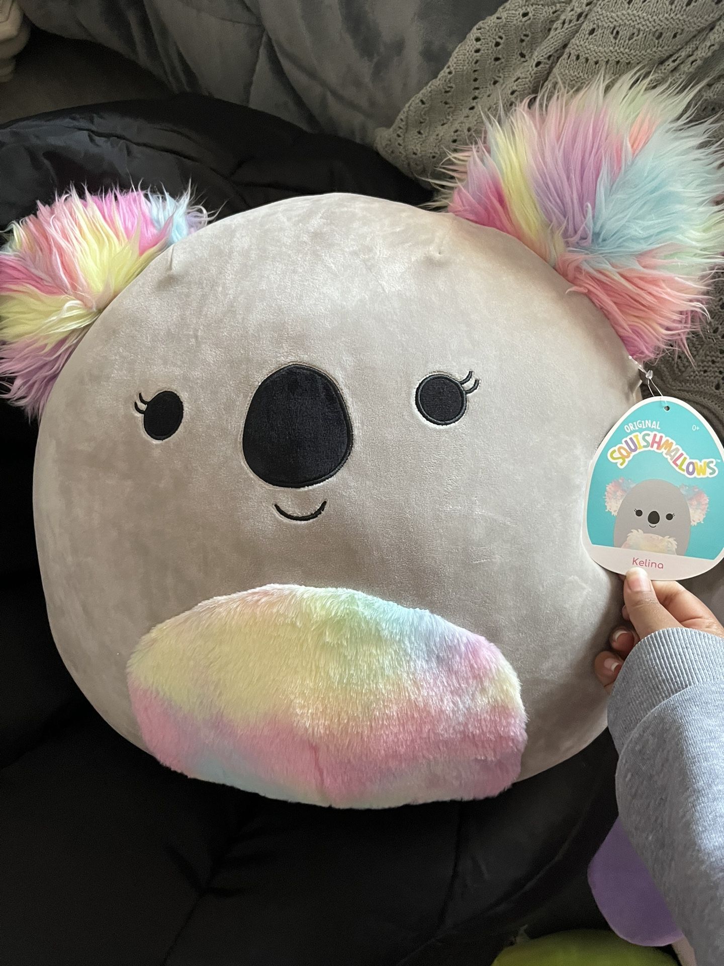 Rainbow Koala