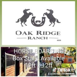 Box Stalls Available For Horse Boarding