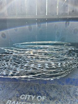 Galvanized Razor Wire Coil