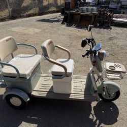 multi-passenger electric mobility scooter / utility trike