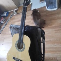 De Rosa Small Guitar 