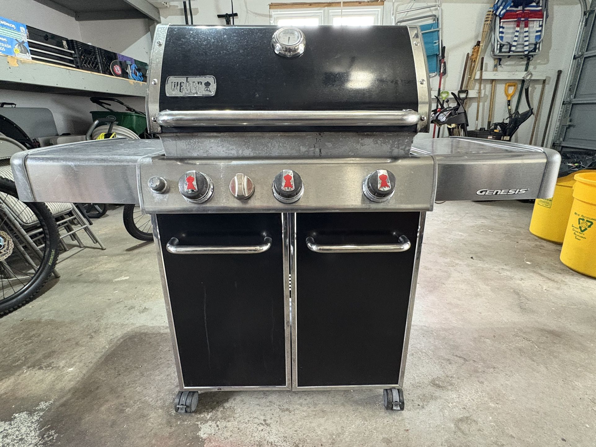 Weber Genesis