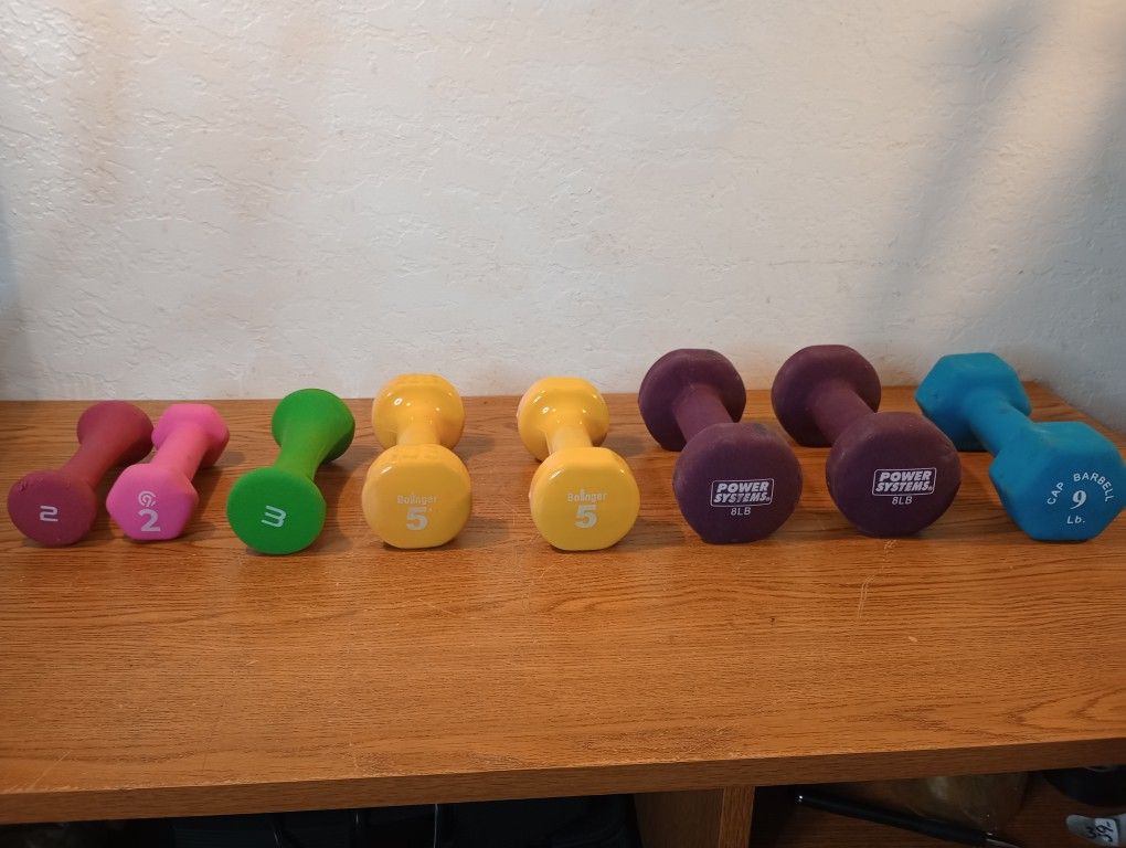 Assortment Of Colorful Dumbbells