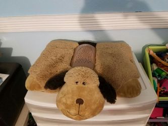 Large night lite pet