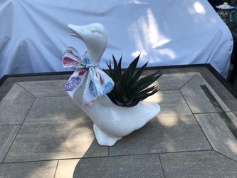 A cute duck planter with “Flow” aloe succulent