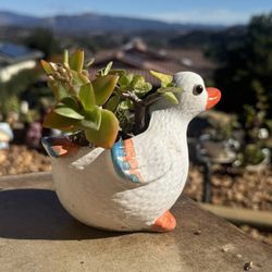 🧡 🦆 Duck Planter W Succulents 🪴 