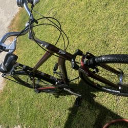 Trek Bike