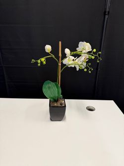 White Faux Orchid Artificial Plant in Black Pot