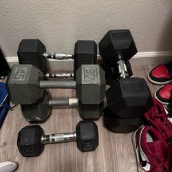 Dumbbells/ adjustable bench and straight bar