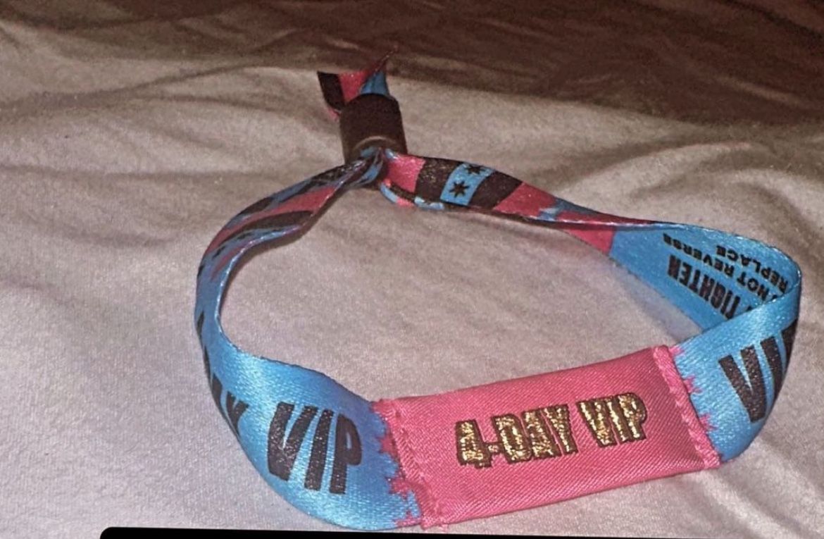 Lollapalooza Bands