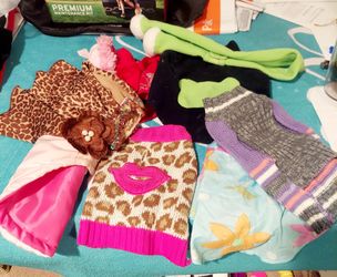 6 Small Dogs Clothes
