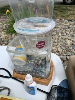 Fish aquarium
