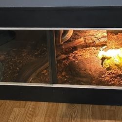 Reptile Enclosure 