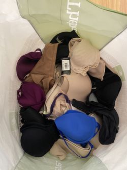 36B Bras