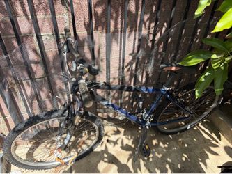 2 adult bikes- hybrid & mountain- sell by 30th