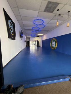 Wrestling/bjj mats