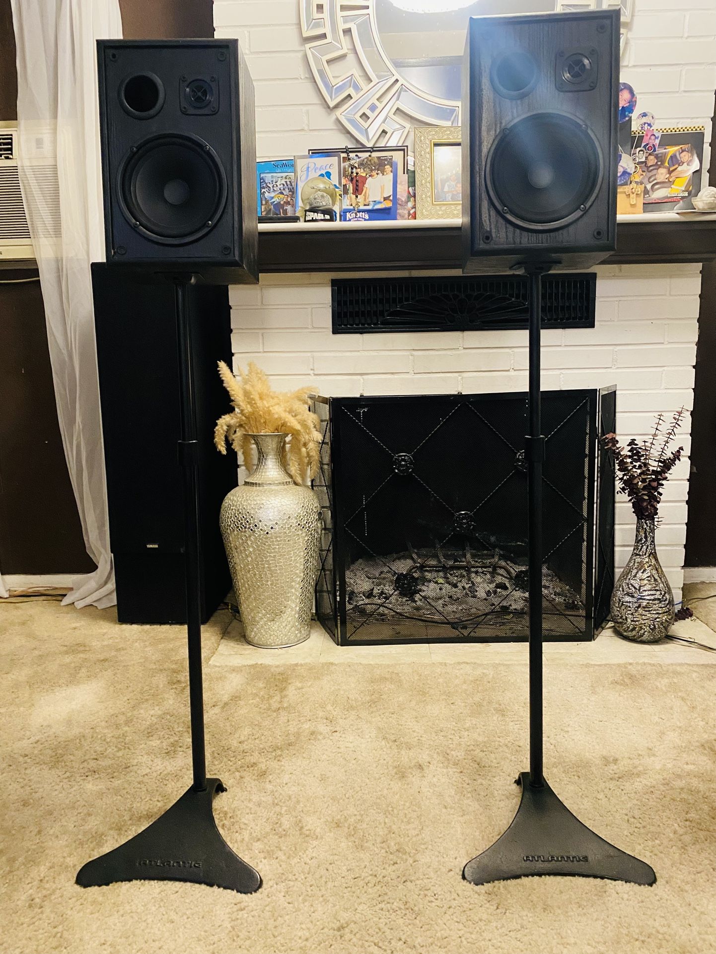 Cerwin Vega Monitor Speakers