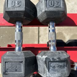 Rogue 30 Lb Dumbbells 