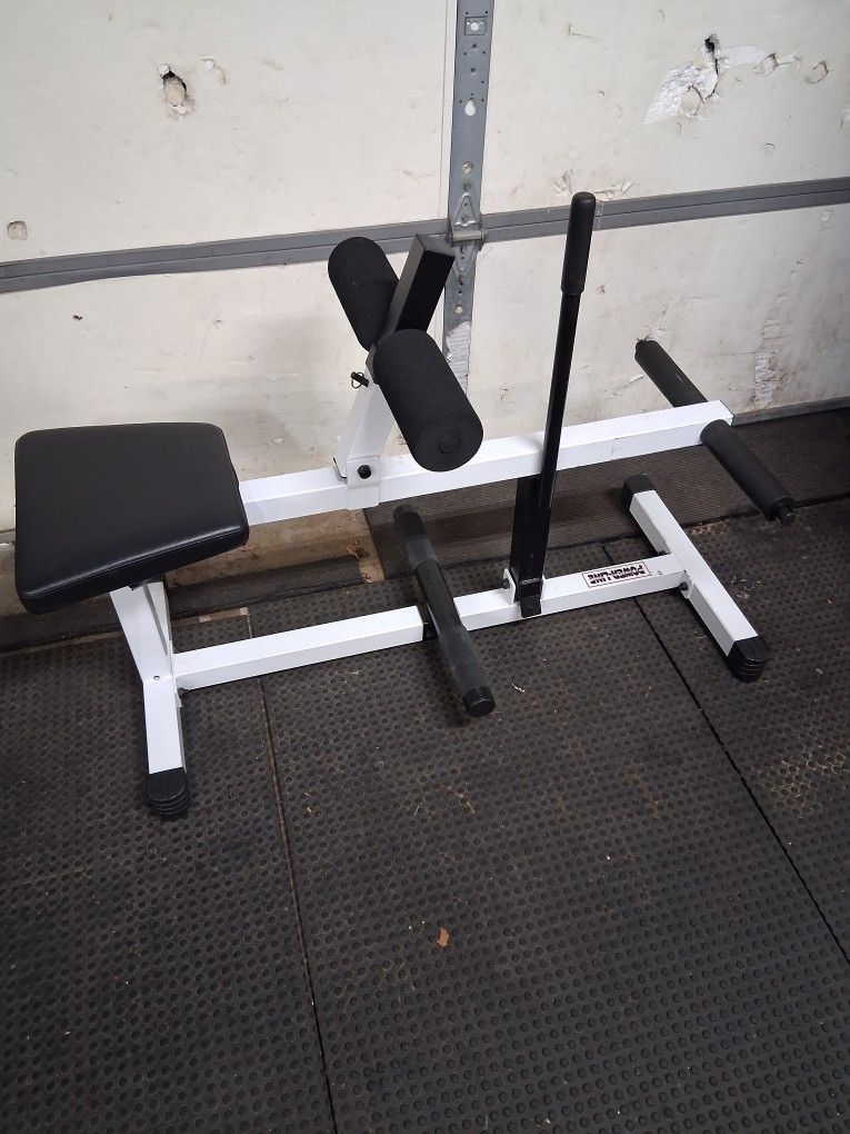 Seated Calf Raise