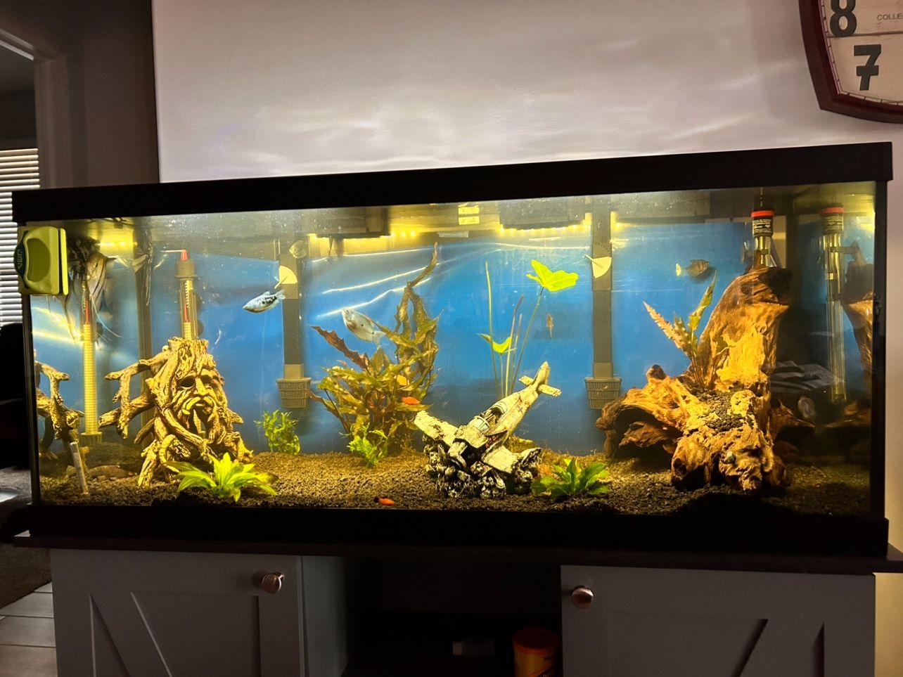 75 Gallon Fish Aquarium