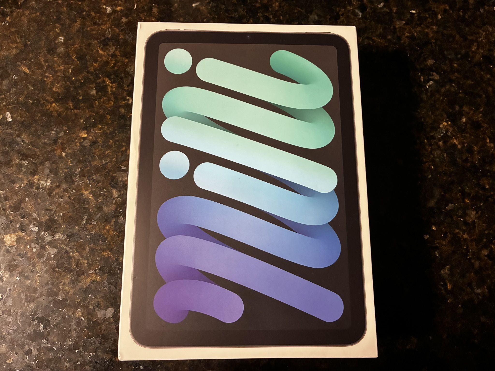 iPad Mini 6th Gen 64GB - Space Gray