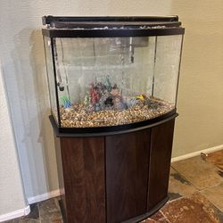 35-Gallon Fish Tank With Pedestal