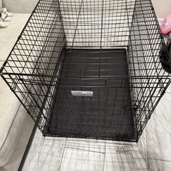 Dog Crate / Cage 42L X 28W X 30H 