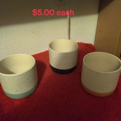 Adorable Planters