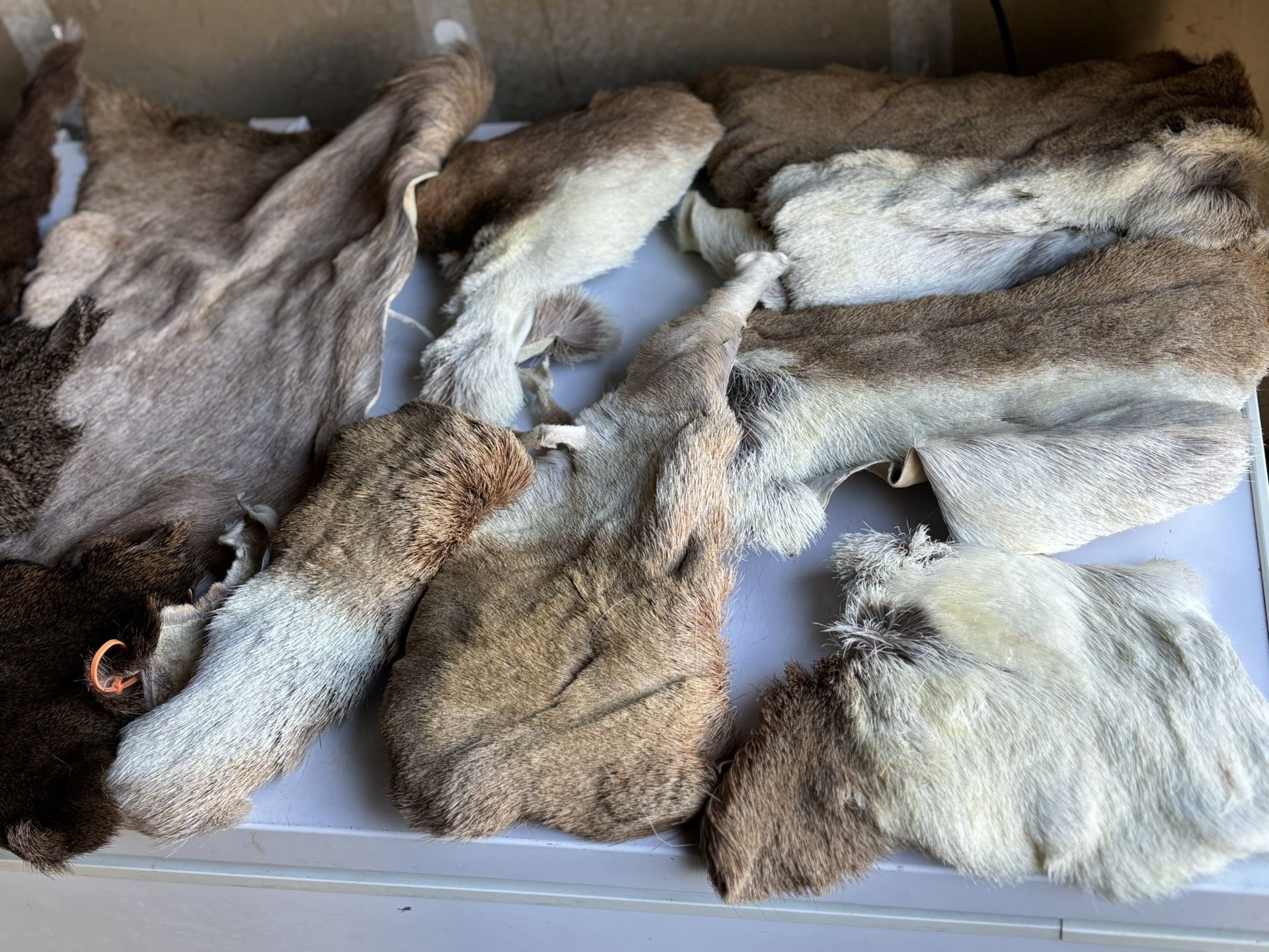 Fly Tying Materials- Fishing- Fly Fishing