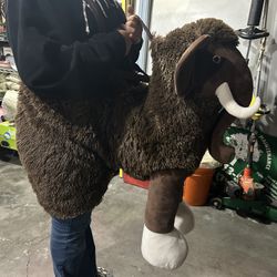 Costume For Halloween.