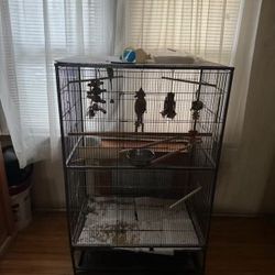 Parrot Bird Cage Including Parrot 