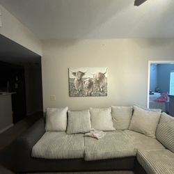 Sectional Couch For Sale
