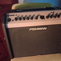 Fishman Mini Amplifier 