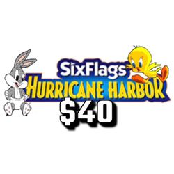 Six Flags Hurricane Harbor -  SIXFLAGS Magic Mountain 🎟️  (NO SHIPPING, DIGITAL DELIVERY) Please Read Full Description, Thank You!!