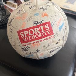 2 Professionally signed Volley Balls