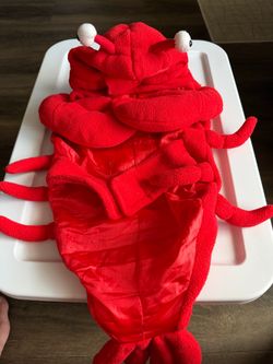 Baby Lobster Halloween Dog Costume size Large 18 inches