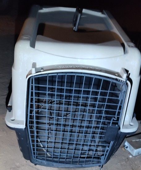 Medium Pet Kennel