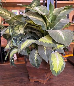 Golden Dieffenbachia, 20"h silk plant by the brand Nearly Natural